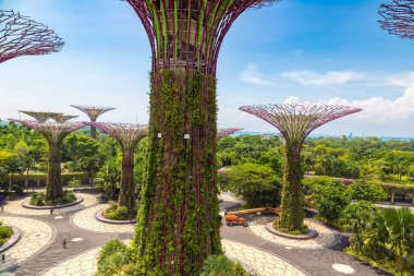 SINGAPORE - 23 Haziran 2019 'da Marina Körfezi Sands Oteli yakınlarındaki Singapur Körfezi yakınlarındaki Gardens' taki Supertree Grove