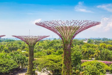 SINGAPORE - 23 Haziran 2019 'da Marina Körfezi Sands Oteli yakınlarındaki Singapur Körfezi yakınlarındaki Gardens' taki Supertree Grove