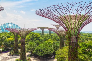 SINGAPORE - 23 Haziran 2019 'da Marina Körfezi Sands Oteli yakınlarındaki Singapur Körfezi yakınlarındaki Gardens' taki Supertree Grove