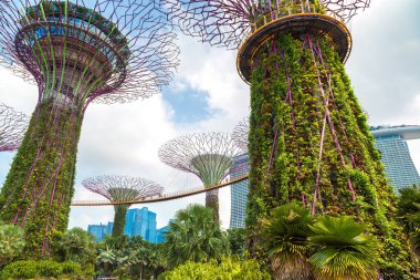 SINGAPORE - 23 Haziran 2019: The Supertree Grove and Skyway at Gardens by the Bay ve Marina Bay Sands Oteli yaz günü