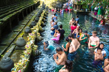 BALI, INDONEZYA - 28 Şubat 2020: Bali halkı Endonezya 'nın Bali kentindeki Pura Tirta Empul Tapınağı' ndaki kutsal havuzda dua ediyor