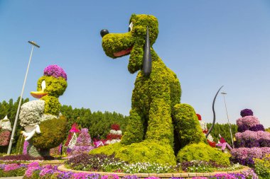 DUBAI, BİRLİK ARAB EMIRATES - 31 Ocak 2020: Güneşli bir günde Dubai mucizevi bahçesi, Birleşik Arap Emirlikleri