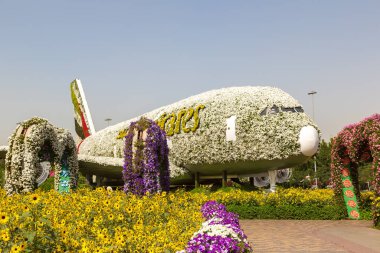 DUBAI, BİRLİK ARAB EMIRATES - 31 Ocak 2020: Güneşli bir günde, Birleşik Arap Emirlikleri 'nin Dubai mucize bahçesinde çiçeklerden yapılmış Emirates Airbus A380