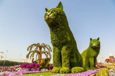 DUBAI, BİRLİK ARAB EMIRATES - 31 Ocak 2020: Güneşli bir günde Dubai mucizevi bahçesi, Birleşik Arap Emirlikleri