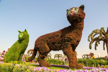 DUBAI, BİRLİK ARAB EMIRATES - 31 Ocak 2020: Güneşli bir günde Dubai mucizevi bahçesi, Birleşik Arap Emirlikleri