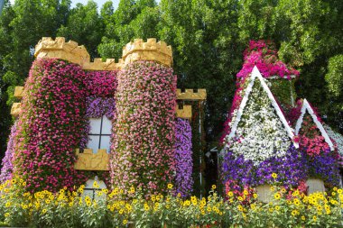 DUBAI, BİRLİK ARAB EMIRATES - 31 Ocak 2020: Güneşli bir günde Dubai mucizevi bahçesi, Birleşik Arap Emirlikleri