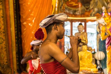 COLOMBO, SRI LANKA - 11 Şubat 2020: Colombo, Sri Lanka 'daki Gangaramaya Budist Tapınağı' nda geleneksel müzisyen