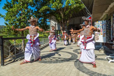 PINNAWALA, SRI LANKA - 12 Şubat 2020: Bir yaz gününde Sri Lanka 'da geleneksel düğün