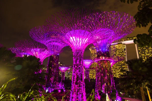 Singapur Singapur Febrero 2020 Jardines Junto Bahía Marina Bay Sands —  Fotos de Stock