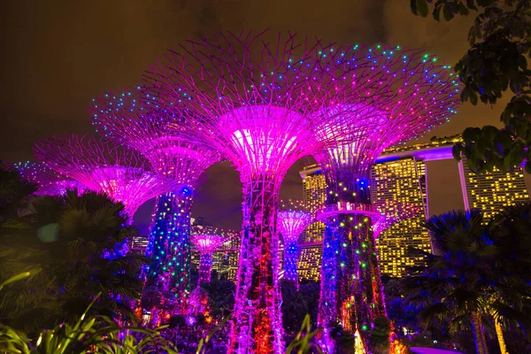 Singapur Singapur Febrero 2020 Jardines Junto Bahía Marina Bay Sands —  Fotos de Stock