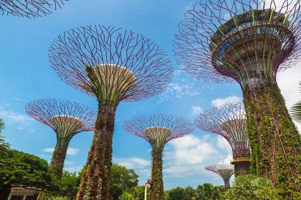 Singapore Haziran 2019 Marina Körfezi Sands Oteli Yakınlarındaki Singapur Körfezi — Stok fotoğraf