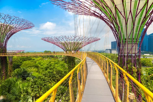 Singapore Haziran 2019 Supertree Grove Skyway Gardens Bay Singapur Marina — Stok fotoğraf