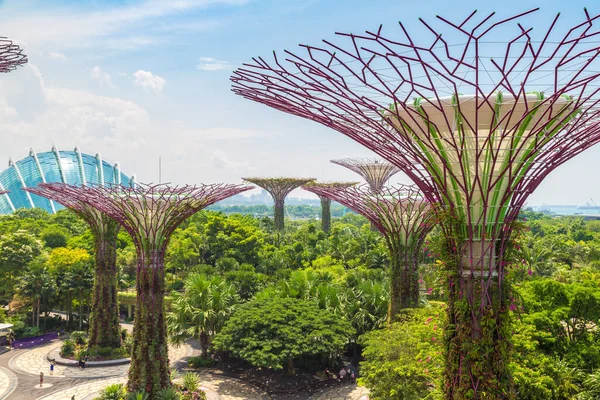 Singapore Junho 2019 Supertree Grove Gardens Bay Singapura Perto Hotel — Fotografia de Stock