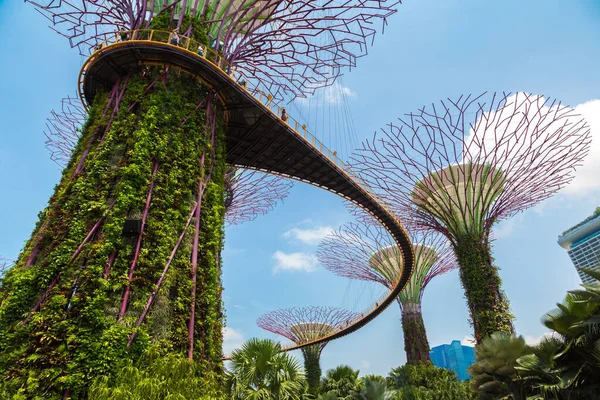 Singapur Juni 2019 Der Supertree Grove Und Skyway Gardens Bay — Stockfoto