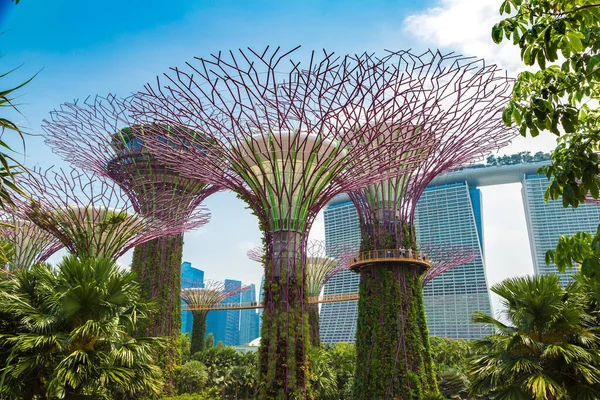 Singapur Juni 2019 Supertree Grove Skyway Gardens Bay Marina Bay — Stockfoto