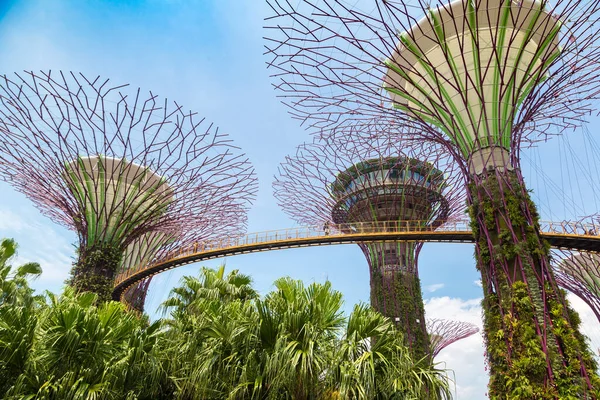 Singapore Června 2019 Supertree Grove Skyway Gardens Bay Singapore Marina — Stock fotografie