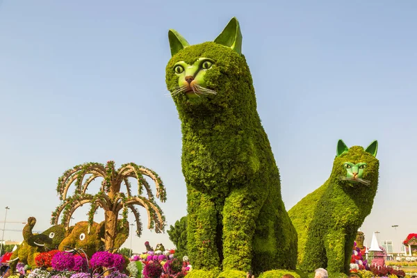 Dubai United Arab Emirates Января 2020 Dubai Miracle Garden Sunny — стоковое фото