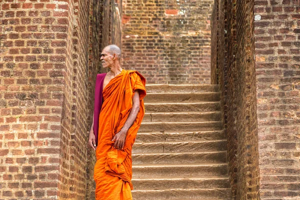 Sigiriya Sri Lanka Februarie 2020 Călugăr Budist Intrarea Lions Paw — Fotografie, imagine de stoc