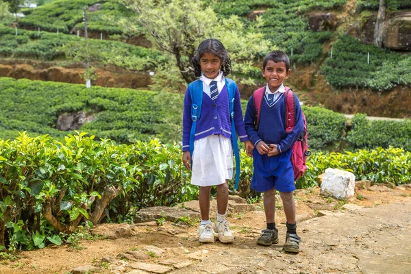 Garçon Fille Écoliers Dans Les Plantations Thé Nuwara Eliya Sri — Photo