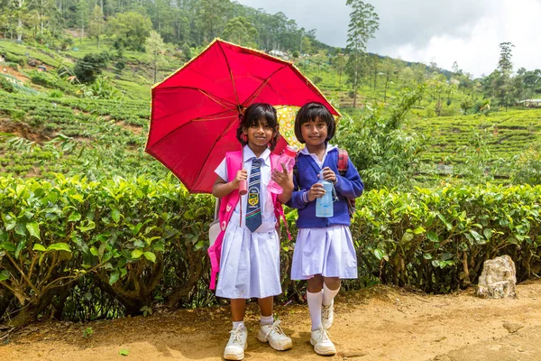 Deux Élèves Dans Les Plantations Thé Nuwara Eliya Sri Lanka — Photo