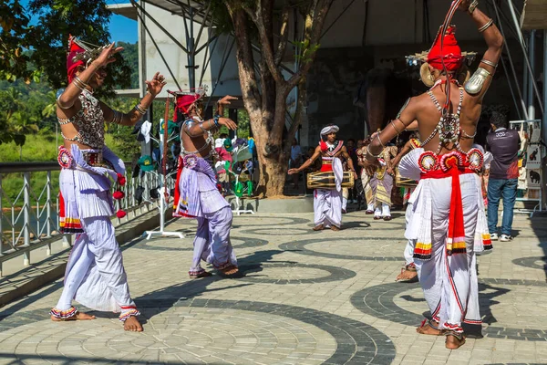 Pinnawala Sri Lanka 2020 Február Hagyományos Esküvő Srí Lankán Egy — Stock Fotó