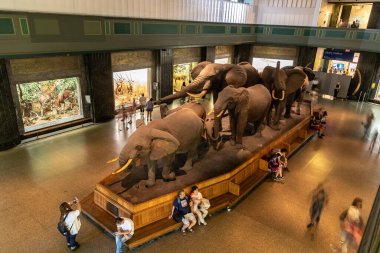 NEW YORK CITY, ABD - 29 Mart 2020: New York, ABD 'deki American Museum of Natural History' de fil
