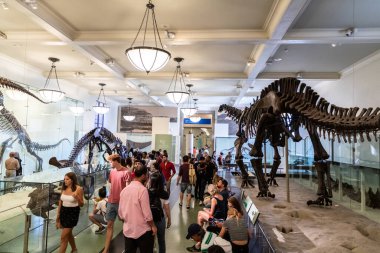 NEW YORK CITY, ABD - 29 Mart 2020: New York City, ABD 'deki American Museum of Natural History' deki dinozor