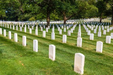 WASHINGTON DC, ABD - 29 Mart 2020: Arlington Ulusal Mezarlığı, Washington DC, ABD