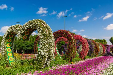 DUBAI, BİRLİK ARAB EMIRATES - 29 Mart 2020: Güneşli bir günde Dubai Mucize Bahçesi, Birleşik Arap Emirlikleri