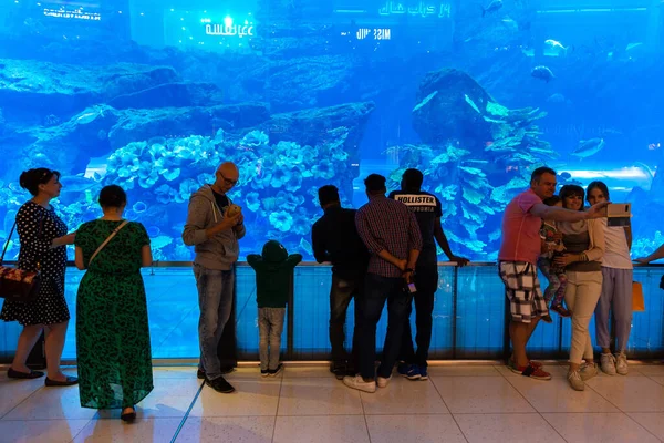 Dubai Emiratos Árabes Unidos Abril 2020 Enorme Acuario Dubai Mall —  Fotos de Stock