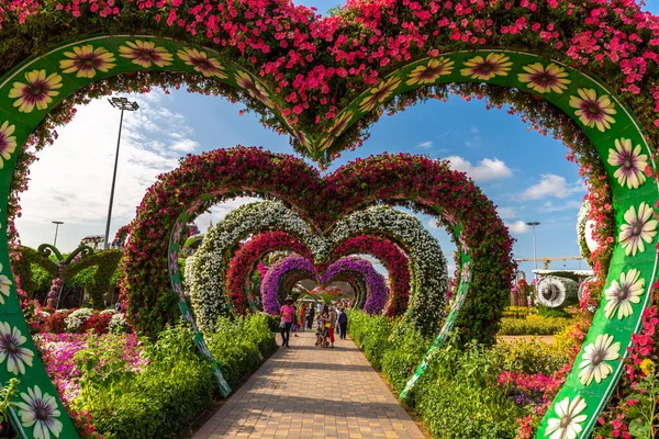 Dubai Vereinigte Arabische Emirate März 2020 Dubai Wundergarten Einem Sonnigen — Stockfoto