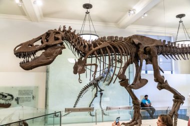 NEW YORK CITY, ABD - 29 Mart 2020: New York City, ABD 'deki American Museum of Natural History' deki dinozor