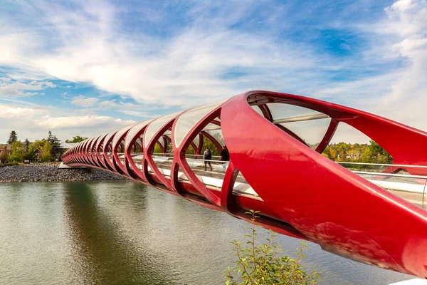 Calgria Canada Abril 2020 Ponte Paz Atravessando Rio Bow Calgary — Fotografia de Stock