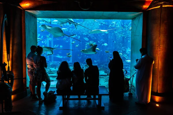 Dubai Zjednoczone Emiraty Arabskie Czerwiec 2018 Lost Chambers Duże Akwarium — Zdjęcie stockowe