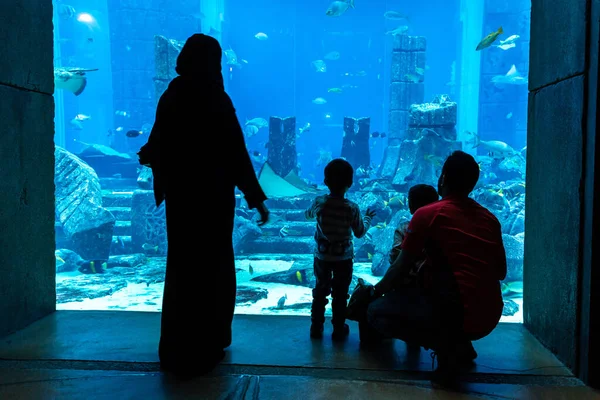 Dubai Emirados Árabes Unidos Julho 2018 Câmaras Perdidas Grande Aquário — Fotografia de Stock