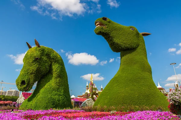 Dubai United Arab Emirates March 2020 Dubai Miracle Garden Sunny — Stock Photo, Image