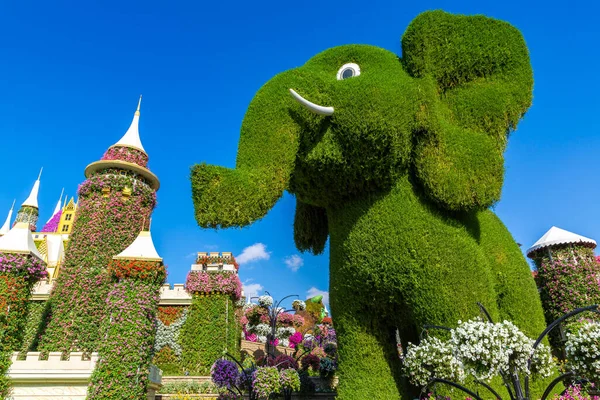 Dubai United Arab Emirates March 2020 Dubai Miracle Garden Sunny — Stock Photo, Image