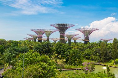SINGAPORE - 23 Haziran 2018 'de Marina Körfezi Sands Oteli yakınlarındaki Singapur Körfezi yakınlarındaki Gardens' taki Supertree Grove