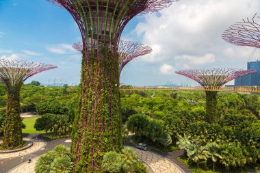 SINGAPORE - 23 Haziran 2019 'da Marina Körfezi Sands Oteli yakınlarındaki Singapur Körfezi yakınlarındaki Gardens' taki Supertree Grove