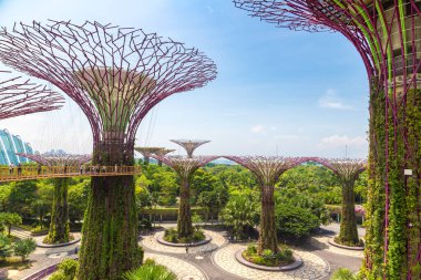SINGAPORE - 23 Haziran 2019 'da Marina Körfezi Sands Oteli yakınlarındaki Singapur Körfezi yakınlarındaki Gardens' taki Supertree Grove