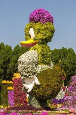 DUBAI, BİRLİK ARAB EMIRATES - 31 Ocak 2020: Güneşli bir günde Dubai mucizevi bahçesi, Birleşik Arap Emirlikleri