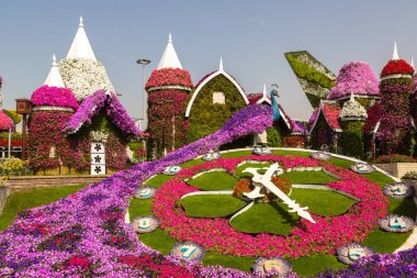 DUBAI, BİRLİK ARAB EMIRATES - 31 Ocak 2020: Güneşli bir günde Dubai mucizevi bahçesi, Birleşik Arap Emirlikleri