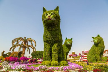 DUBAI, BİRLİK ARAB EMIRATES - 31 Ocak 2020: Güneşli bir günde Dubai mucizevi bahçesi, Birleşik Arap Emirlikleri