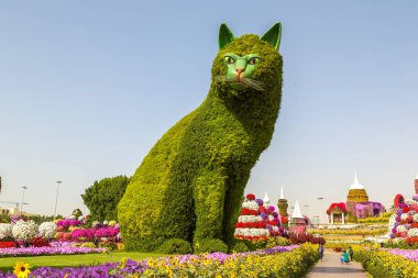 DUBAI, BİRLİK ARAB EMIRATES - 31 Ocak 2020: Güneşli bir günde Dubai mucizevi bahçesi, Birleşik Arap Emirlikleri