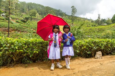 Nuwara Eliya, Sri Lanka 'daki çay çiftliklerinde iki okul ızgarası.