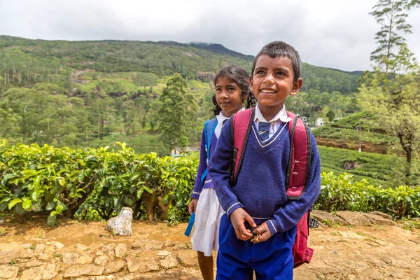 Garçon Fille Écoliers Dans Les Plantations Thé Nuwara Eliya Sri — Photo