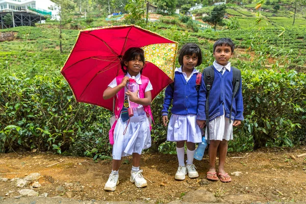 Boy Girls Schoolchildren Thetea Plantations Nuwara Eliya Sri Lanka — Stock Photo, Image