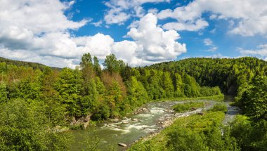 Karpat orman içinde bir güzel yaz gün, Ukrayna dağ Nehri Panoraması
