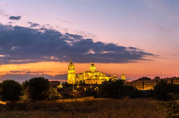 Panorama Van Kathedraal Van Salamanca Een Mooie Zomeravond Spanje — Stockfoto