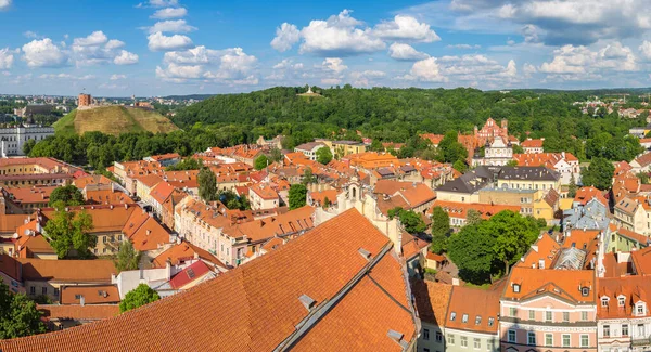 Vilnius Paesaggio Urbano Una Bella Giornata Estiva Lituania — Foto Stock